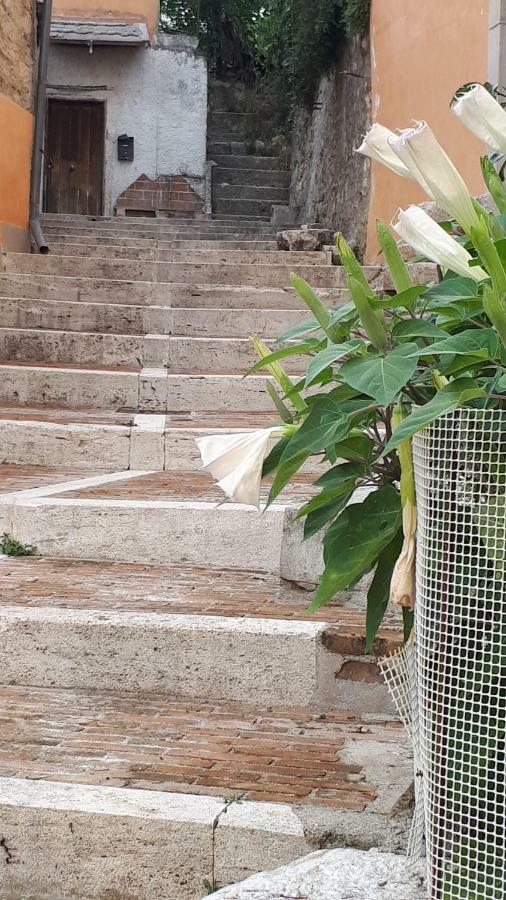 S. Mercurio Villa Campobasso Dış mekan fotoğraf